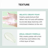 Skin 1004 Madagascar Centella Tea Trica Bha Foam-125ML